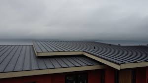 Best Roof Ventilation Installation  in Loma, CO